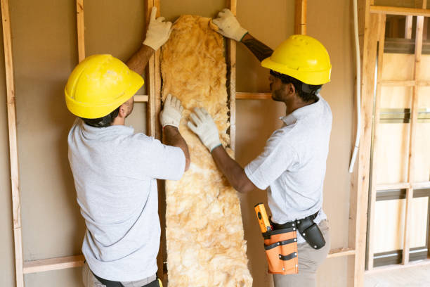 Best Insulation Replacement Services  in Fords, NJ